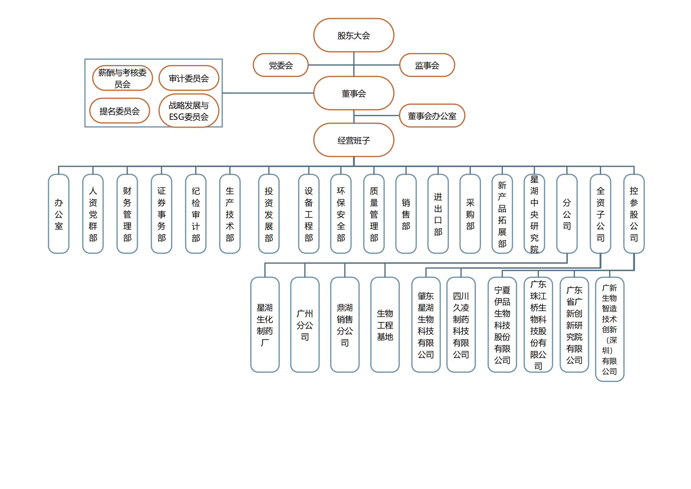 星湖科技組織架構圖202404_00.png